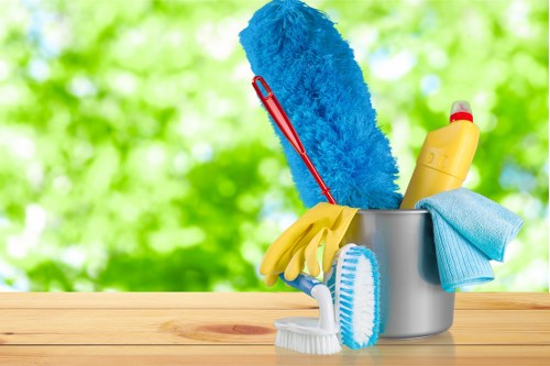 Mattress cleaning in Stepney with professional deep cleaning equipment