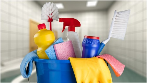 Professional steam carpet cleaning in Stepney for a refreshed carpet
