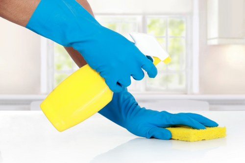 Professional carpet cleaning process with cleaning wand and treated floor area