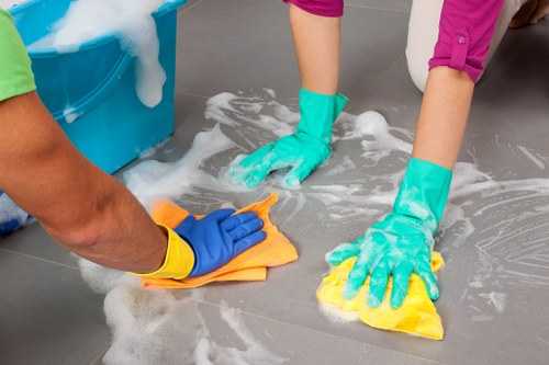 Professional carpet cleaning equipment in a Stepney home