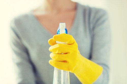 Example carpet cleaning jobs in Stepney property types