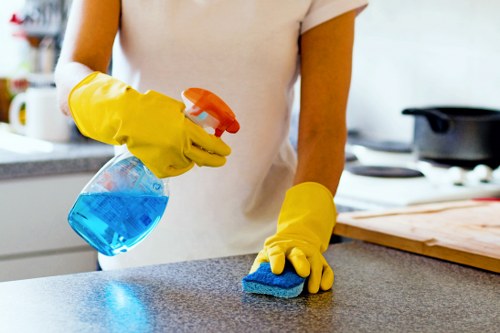 Stain removal in Stepney for carpet and upholstery cleaning