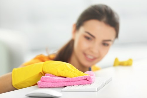 Professional stain removal on different surfaces in Stepney