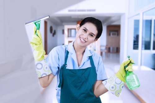 Local carpet cleaner in Stepney preparing to clean a home carpet