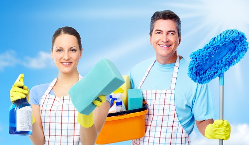 Upholstery cleaning after pet accidents in a Stepney home