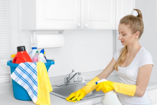 Deep upholstery cleaning process for a fabric sofa